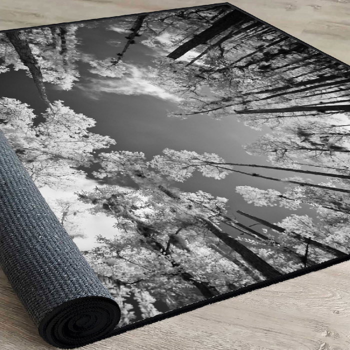 Conceptum Els1902 Alfombra de Terciopelo Multicolor 80 x 120 cm